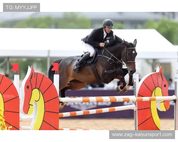 熊猫杯慢垒联赛燃情开启，52站精彩纷呈，近千场激烈对决引爆运动热潮